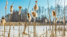 Przedwiośnie nad jeziorem Bielewo, marzec 2026 r. - zdjęcie 2