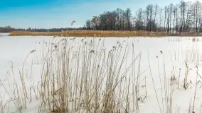 Przedwiośnie nad jeziorem Bielewo, marzec 2026 r. - zdjęcie 7