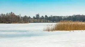 Przedwiośnie nad jeziorem Bielewo, marzec 2026 r. - zdjęcie 6