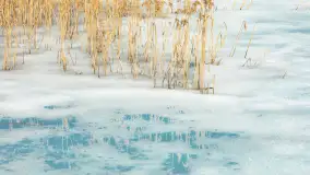 Przedwiośnie nad jeziorem Bielewo, marzec 2026 r. - zdjęcie 10