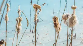 Przedwiośnie nad jeziorem Bielewo, marzec 2026 r. - zdjęcie 15