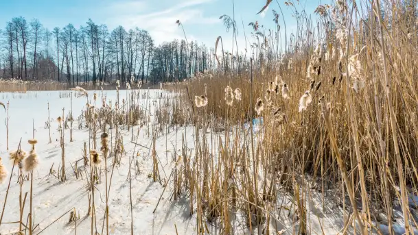 Przedwiośnie nad jeziorem Bielewo, marzec 2026 r.