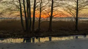 Jezioro Mamry i Święcajty z drona, marzec 2026 r. - zdjęcie 25