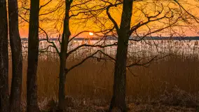 Jezioro Mamry i Święcajty z drona, marzec 2026 r. - zdjęcie 17