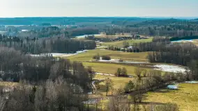 Przedwiośnie nad jeziorem Bielewo, marzec 2026 r. - zdjęcie 9