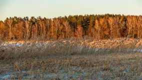 Zachód słońca nad jeziorem Kruklin, marzec 2026 r. - zdjęcie 14