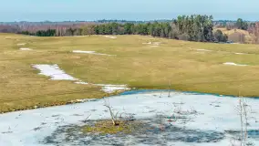Jeleniowate na mazurskich polach i łąkach, marzec 2026 r. - zdjęcie 6