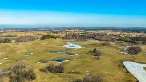 Jeleniowate na mazurskich polach i łąkach, marzec 2026 r. - zdjęcie 13