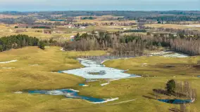 Jeleniowate na mazurskich polach i łąkach, marzec 2026 r. - zdjęcie 12