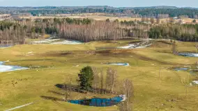 Jeleniowate na mazurskich polach i łąkach, marzec 2026 r. - zdjęcie 9