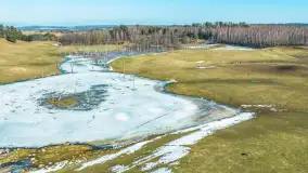 Jeleniowate na mazurskich polach i łąkach, marzec 2026 r. - zdjęcie 22