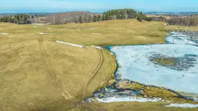 Jeleniowate na mazurskich polach i łąkach, marzec 2026 r. - zdjęcie 24