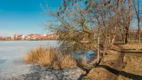 Przedwiośnie w Ełku, spacer w okolicach ulicy Zamkowej - zdjęcie 13