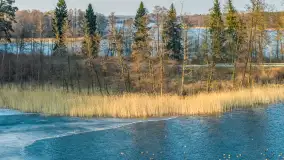 Przedwiośnie nad kanałem Kula, marzec 2026 r. - zdjęcie 14