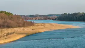 Przedwiośnie nad kanałem Kula, marzec 2026 r. - zdjęcie 6