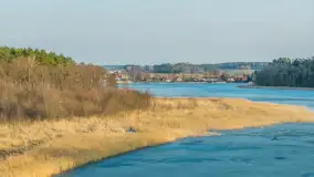 Przedwiośnie nad kanałem Kula, marzec 2026 r. - zdjęcie 16