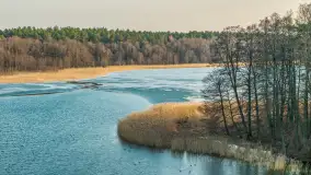 Przedwiośnie nad kanałem Kula, marzec 2026 r. - zdjęcie 33