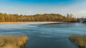 Jeziora Niegocin, Niałk Duży i Mały oraz Wojnowo u progu wiosny, z lotu ptaka - zdjęcie 24