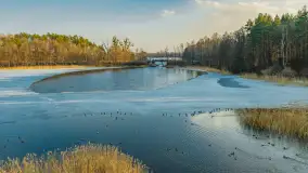 Jeziora Niegocin, Niałk Duży i Mały oraz Wojnowo u progu wiosny, z lotu ptaka - zdjęcie 14