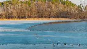 Jeziora Niegocin, Niałk Duży i Mały oraz Wojnowo u progu wiosny, z lotu ptaka - zdjęcie 25