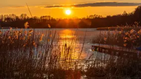 Zachód słońca nad jeziorem Stręgiel, marzec 2026 r. - zdjęcie 9