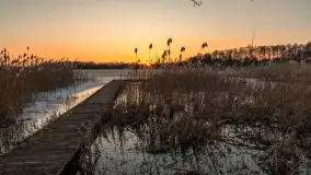 Zachód słońca nad jeziorem Stręgiel, marzec 2026 r. - zdjęcie 16