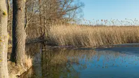 Przedwiosenne popołudnie nad jeziorem Dejguny, marzec 2026 r. - zdjęcie 8
