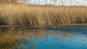 Przedwiosenne popołudnie nad jeziorem Dejguny, marzec 2026 r. - zdjęcie 20
