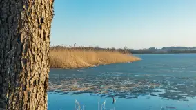 Przedwiosenne popołudnie nad jeziorem Dejguny, marzec 2026 r. - zdjęcie 13