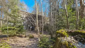 Polowa kwatera Himmlera - marcowy spacer po ruinach - zdjęcie 14