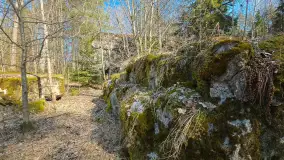 Polowa kwatera Himmlera - marcowy spacer po ruinach - zdjęcie 5