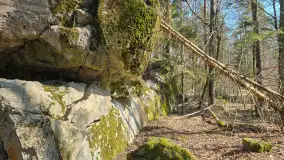 Polowa kwatera Himmlera - marcowy spacer po ruinach - zdjęcie 24