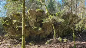 Polowa kwatera Himmlera - marcowy spacer po ruinach - zdjęcie 17