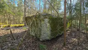 Polowa kwatera Himmlera - marcowy spacer po ruinach - zdjęcie 11