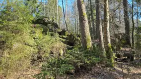 Polowa kwatera Himmlera - marcowy spacer po ruinach - zdjęcie 33