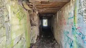 Polowa kwatera Himmlera - marcowy spacer po ruinach - zdjęcie 21