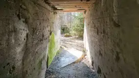 Polowa kwatera Himmlera - marcowy spacer po ruinach - zdjęcie 28