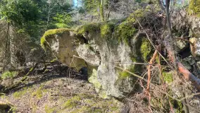 Polowa kwatera Himmlera - marcowy spacer po ruinach - zdjęcie 30