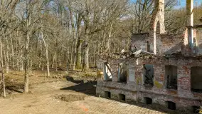 Ruiny pałacu w Mieduniszkach Wielkich, marzec 2026 r. - zdjęcie 19