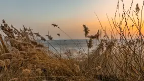 Przedwiośnie i zachód słońca nad Niegocinem, Bystry, marzec 2026 r. - zdjęcie 31