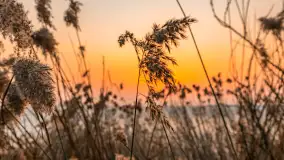 Przedwiośnie i zachód słońca nad Niegocinem, Bystry, marzec 2026 r. - zdjęcie 15