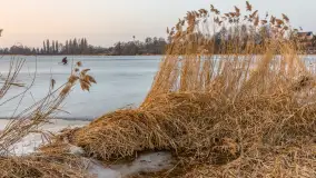Przedwiośnie i zachód słońca nad Niegocinem, Bystry, marzec 2026 r. - zdjęcie 27