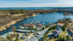 Wiosnad nad Piękną Górą i okolicami, kwiecień 2026 r. - zdjęcie 10