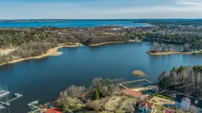 Wiosnad nad Piękną Górą i okolicami, kwiecień 2026 r. - zdjęcie 18