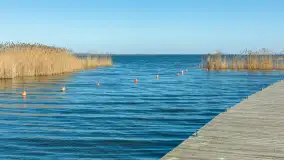 Wiosenna wersja portu w Popielnie, jezioro Śniardwy - zdjęcie 20