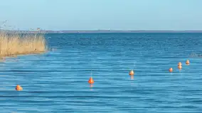 Wiosenna wersja portu w Popielnie, jezioro Śniardwy - zdjęcie 9