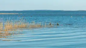 Wiosenna wersja portu w Popielnie, jezioro Śniardwy - zdjęcie 22