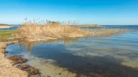 Wiosenna wersja portu w Popielnie, jezioro Śniardwy - zdjęcie 11