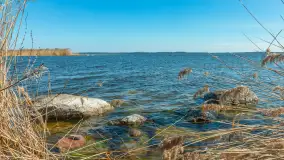 Wiosenna wersja portu w Popielnie, jezioro Śniardwy - zdjęcie 14