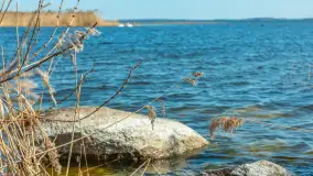 Wiosenna wersja portu w Popielnie, jezioro Śniardwy - zdjęcie 5